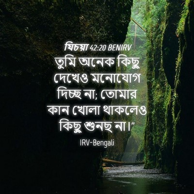 Picture 04 - যিচয়া 42:20 BENIRV - তুমি অনেক কিছু - Bible Verse Picture