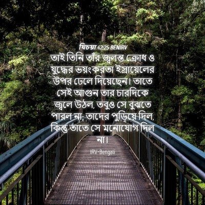 Picture 04 - যিচয়া 42:25 BENIRV - তাই তিনি তাঁর - Bible Verse Picture