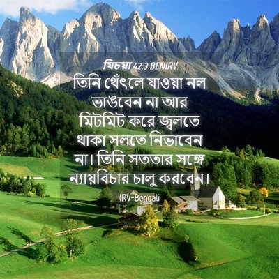 Picture 04 - যিচয়া 42:3 BENIRV - তিনি থেঁৎলে - Bible Verse Picture