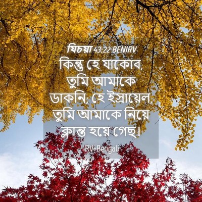 Picture 04 - যিচয়া 43:22 BENIRV - কিন্তু হে যাকোব, - Bible Verse Picture