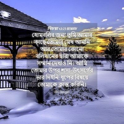 Picture 04 - যিচয়া 43:23 BENIRV - হোমবলির জন্য তুমি - Bible Verse Picture