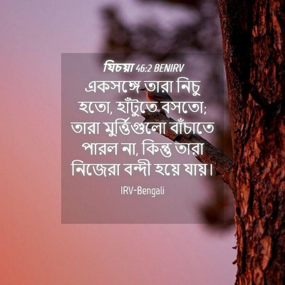 Picture 04 - যিচয়া 46:2 BENIRV - একসঙ্গে তারা নিচু - Bible Verse Picture