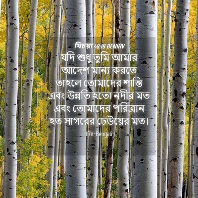 Picture 04 - যিচয়া 48:18 BENIRV - যদি শুধু তুমি আমার - Bible Verse Picture