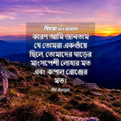 Picture 04 - যিচয়া 48:4 BENIRV - কারণ আমি জানতাম যে - Bible Verse Picture