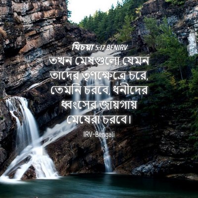 Picture 04 - যিচয়া 5:17 BENIRV - তখন মেষগুলো যেমন - Bible Verse Picture