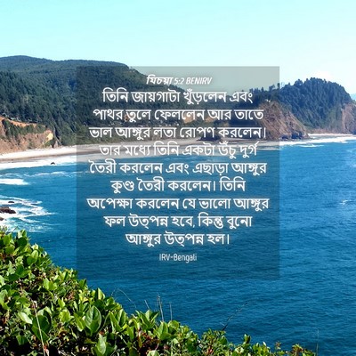 Picture 04 - যিচয়া 5:2 BENIRV - তিনি জায়গাটা - Bible Verse Picture
