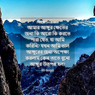 Picture 04 - যিচয়া 5:4 BENIRV - আমার আঙ্গুর - Bible Verse Picture