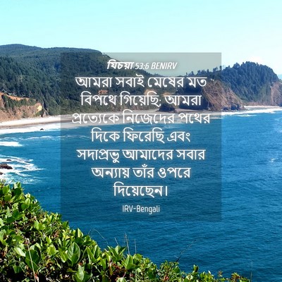 Picture 04 - যিচয়া 53:6 BENIRV - আমরা সবাই মেষের মত - Bible Verse Picture