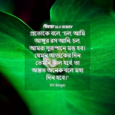 Picture 04 - যিচয়া 56:12 BENIRV - প্রত্যেকে বলে, “চল, - Bible Verse Picture
