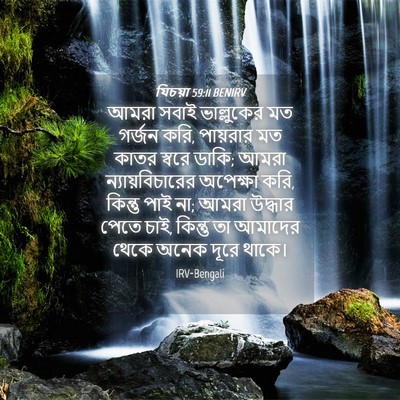 Picture 04 - যিচয়া 59:11 BENIRV - আমরা সবাই - Bible Verse Picture