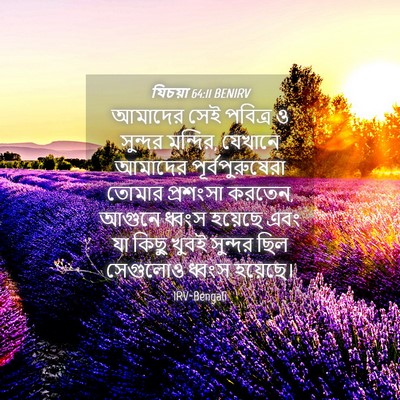 Picture 04 - যিচয়া 64:11 BENIRV - আমাদের সেই পবিত্র - Bible Verse Picture
