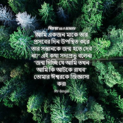 Picture 04 - যিচয়া 66:9 BENIRV - আমি একজন মাকে তার - Bible Verse Picture