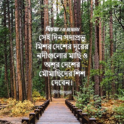 Picture 04 - যিচয়া 7:18 BENIRV - সেই দিন সদাপ্রভু - Bible Verse Picture