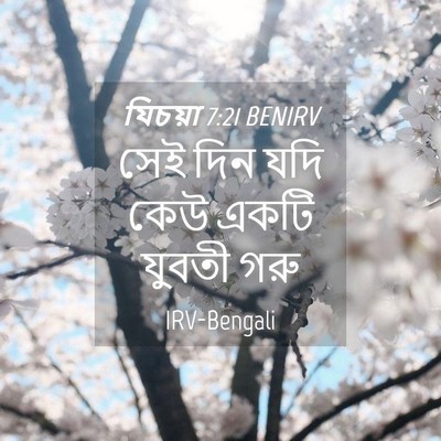 Picture 04 - যিচয়া 7:21 BENIRV - সেই দিন যদি কেউ - Bible Verse Picture