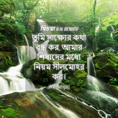 Picture 04 - যিচয়া 8:16 BENIRV - তুমি সাক্ষ্যের - Bible Verse Picture
