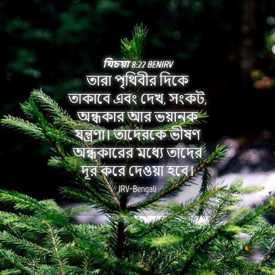 Picture 04 - যিচয়া 8:22 BENIRV - তারা পৃথিবীর দিকে - Bible Verse Picture