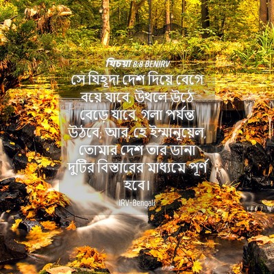 Picture 04 - যিচয়া 8:8 BENIRV - সে যিহূদা দেশ - Bible Verse Picture