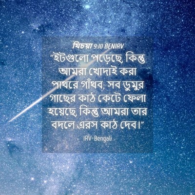 Picture 04 - যিচয়া 9:10 BENIRV - “ইটগুলো পড়েছে, - Bible Verse Picture