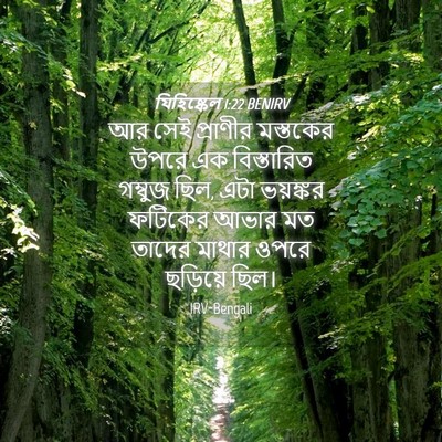 Picture 04 - যিহিষ্কেল 1:22 BENIRV - আর সেই প্রাণীর - Bible Verse Picture