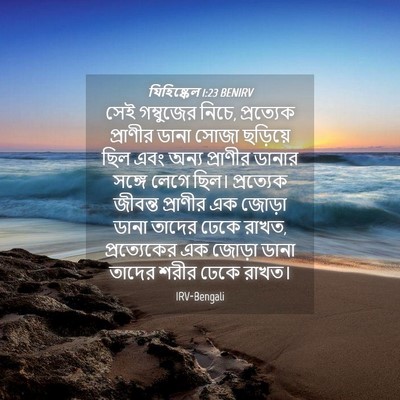 Picture 04 - যিহিষ্কেল 1:23 BENIRV - সেই গম্বুজের নিচে, - Bible Verse Picture