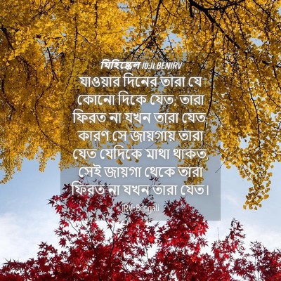Picture 04 - যিহিষ্কেল 10:11 BENIRV - যাওয়ার দিনের - Bible Verse Picture