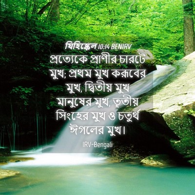 Picture 04 - যিহিষ্কেল 10:14 BENIRV - প্রত্যেকে প্রাণীর - Bible Verse Picture