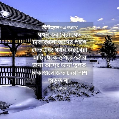 Picture 04 - যিহিষ্কেল 10:16 BENIRV - যখন করূবেরা যেত - Bible Verse Picture