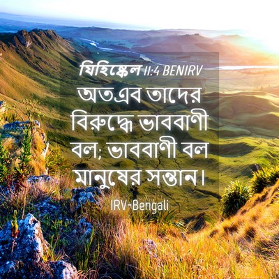 Picture 04 - যিহিষ্কেল 11:4 BENIRV - অতএব তাদের - Bible Verse Picture