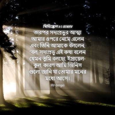 Picture 04 - যিহিষ্কেল 11:5 BENIRV - তারপর সদাপ্রভুর - Bible Verse Picture