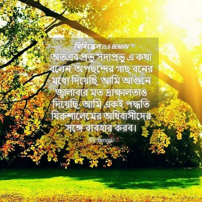 Picture 04 - যিহিষ্কেল 15:6 BENIRV - অতএব প্রভু - Bible Verse Picture