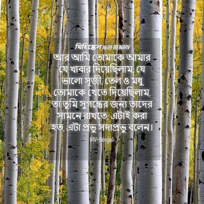 Picture 04 - যিহিষ্কেল 16:19 BENIRV - আর আমি তোমাকে আমার - Bible Verse Picture
