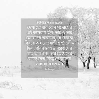 Picture 04 - যিহিষ্কেল 16:49 BENIRV - দেখ! তোমার বোন - Bible Verse Picture