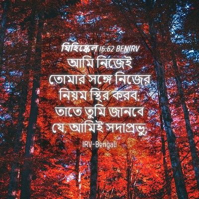 Picture 04 - যিহিষ্কেল 16:62 BENIRV - আমি নিজেই তোমার - Bible Verse Picture
