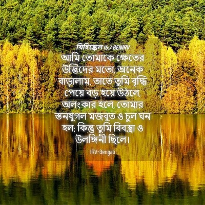 Picture 04 - যিহিষ্কেল 16:7 BENIRV - আমি তোমাকে - Bible Verse Picture