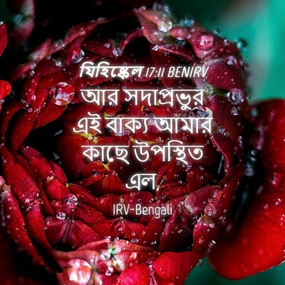 Picture 04 - যিহিষ্কেল 17:11 BENIRV - আর সদাপ্রভুর এই - Bible Verse Picture