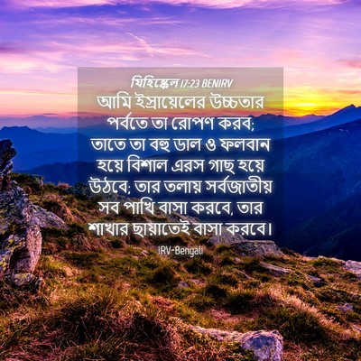Picture 04 - যিহিষ্কেল 17:23 BENIRV - আমি ইস্রায়েলের - Bible Verse Picture