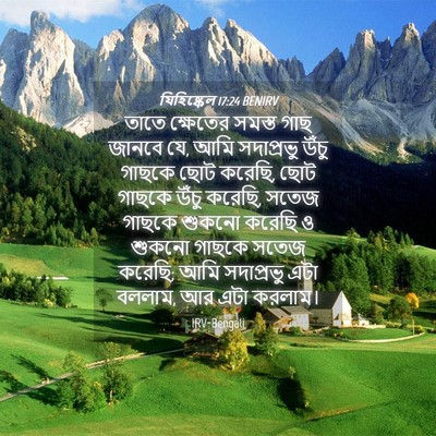 Picture 04 - যিহিষ্কেল 17:24 BENIRV - তাতে ক্ষেতের - Bible Verse Picture
