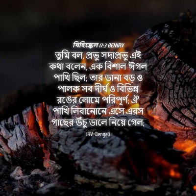 Picture 04 - যিহিষ্কেল 17:3 BENIRV - তুমি বল, প্রভু - Bible Verse Picture
