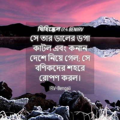 Picture 04 - যিহিষ্কেল 17:4 BENIRV - সে তার ডালের ডগা - Bible Verse Picture