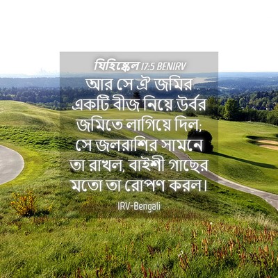 Picture 04 - যিহিষ্কেল 17:5 BENIRV - আর সে ঐ জমির একটি - Bible Verse Picture