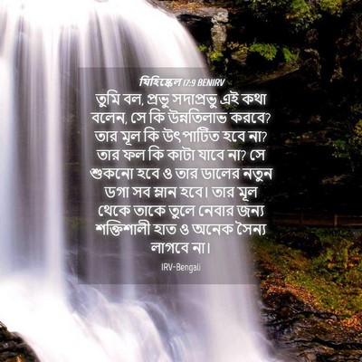 Picture 04 - যিহিষ্কেল 17:9 BENIRV - তুমি বল, প্রভু - Bible Verse Picture