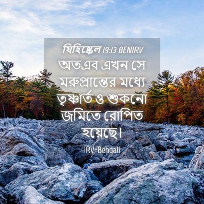 Picture 04 - যিহিষ্কেল 19:13 BENIRV - অতএব এখন সে - Bible Verse Picture