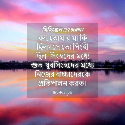 Picture 04 - যিহিষ্কেল 19:2 BENIRV - বল, তোমার মা কি ছিল? - Bible Verse Picture