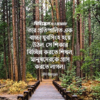 Picture 04 - যিহিষ্কেল 19:3 BENIRV - তার প্রতিপালিত এক - Bible Verse Picture