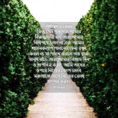 Picture 04 - যিহিষ্কেল 20:21 BENIRV - কিন্তু সেই - Bible Verse Picture