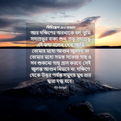 Picture 04 - যিহিষ্কেল 20:47 BENIRV - আর দক্ষিণের - Bible Verse Picture