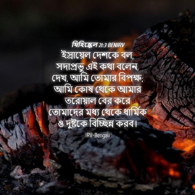 Picture 04 - যিহিষ্কেল 21:3 BENIRV - ইস্রায়েল দেশকে - Bible Verse Picture