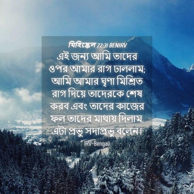 Picture 04 - যিহিষ্কেল 22:31 BENIRV - এই জন্য আমি তাদের - Bible Verse Picture