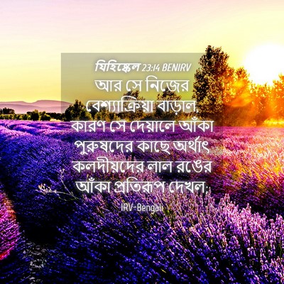 Picture 04 - যিহিষ্কেল 23:14 BENIRV - আর সে নিজের - Bible Verse Picture