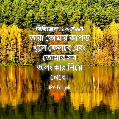 Picture 04 - যিহিষ্কেল 23:26 BENIRV - তারা তোমার কাপড় - Bible Verse Picture